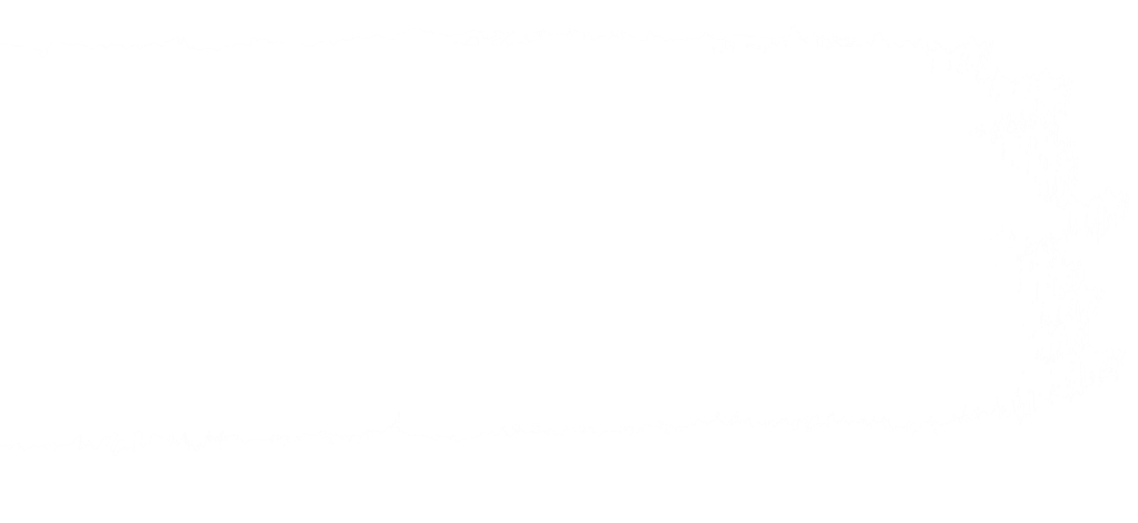 bottom texture